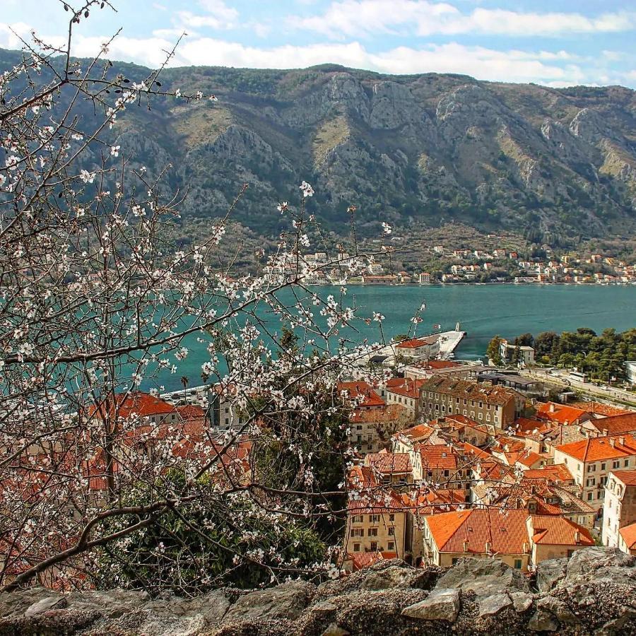 Old Town Boskovic Apartment Kotor Dış mekan fotoğraf